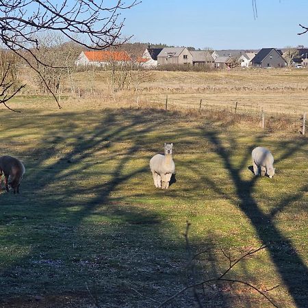 Attefallshus Naera Havet Norranaes Varberg Eksteriør billede